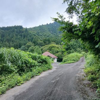 いつものスタート地点に着き、はあ～っ､とため息　さて気を取り直して