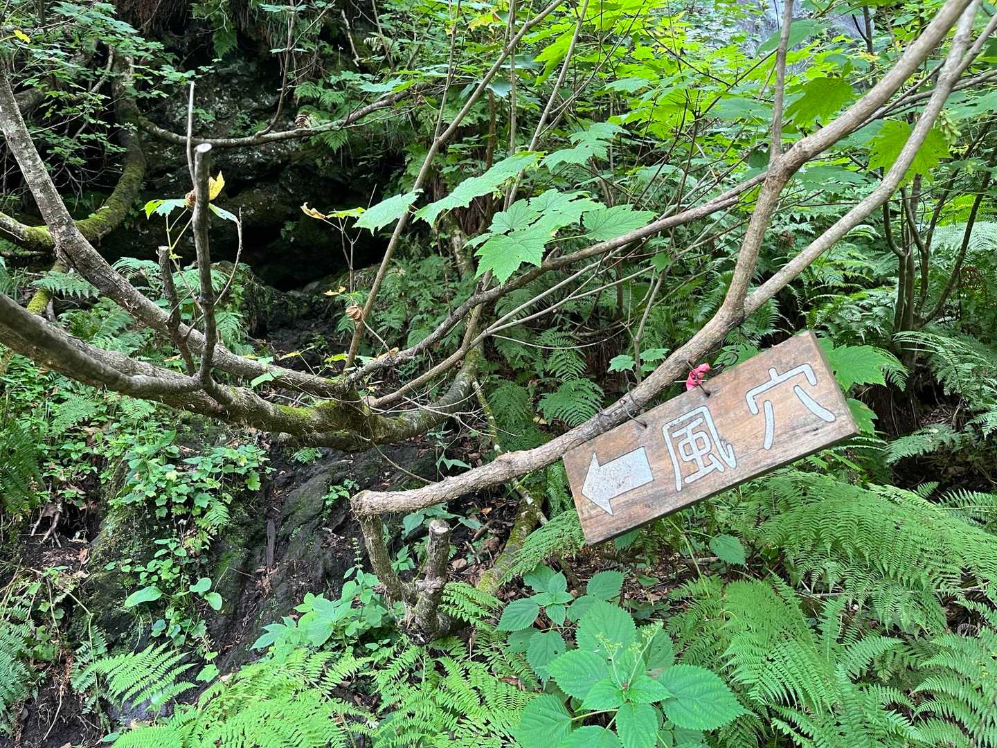 比羅夫登山口-羊蹄山-羊蹄山-真狩登山口 縦走コースの写真