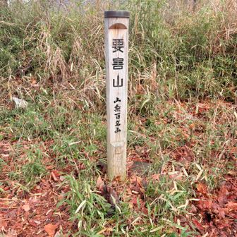 要害山☺️