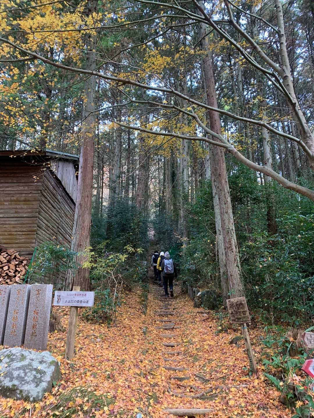 鬼沢八幡社-おおだ山 往復コースの写真