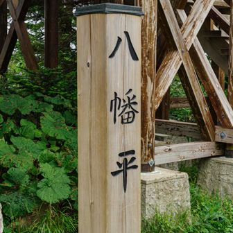 こっちは記念に作られたみたい