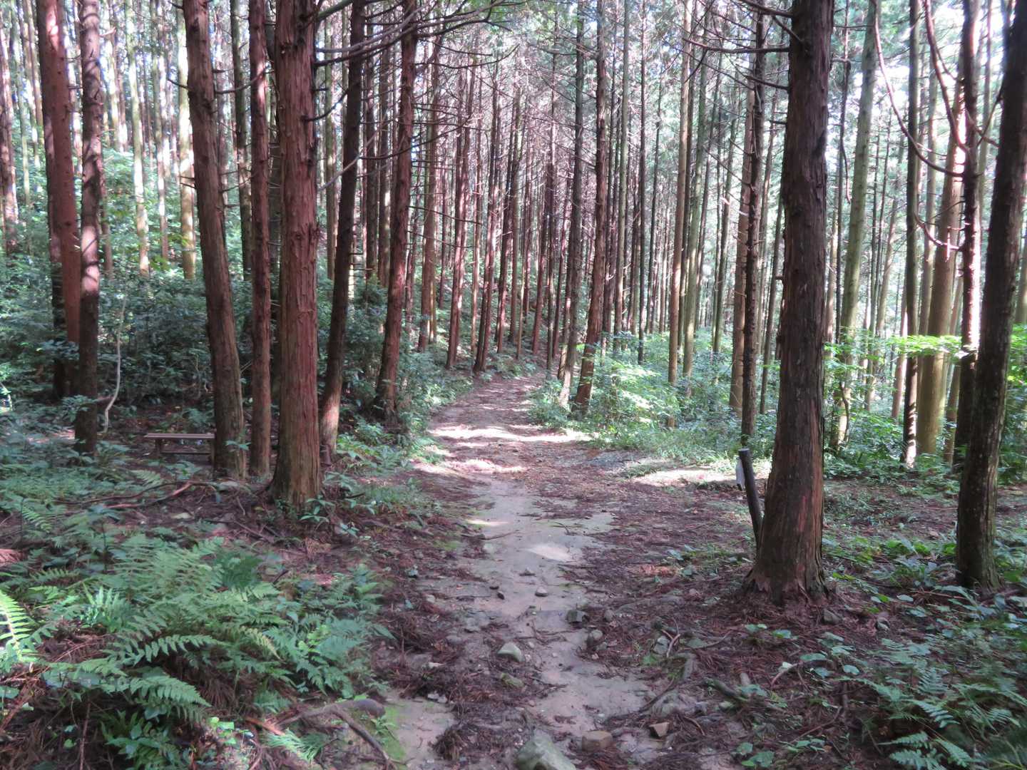 下山は林道を通って平山登山口へ