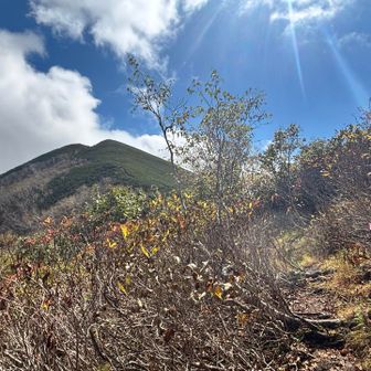 登り切った。あのてっぺんが芽室岳