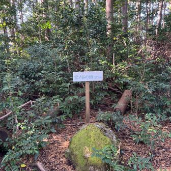 堂ノ谷の頭ピーク！