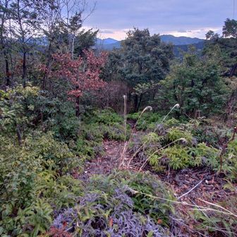 この先は、ガイドの通り、迷います。