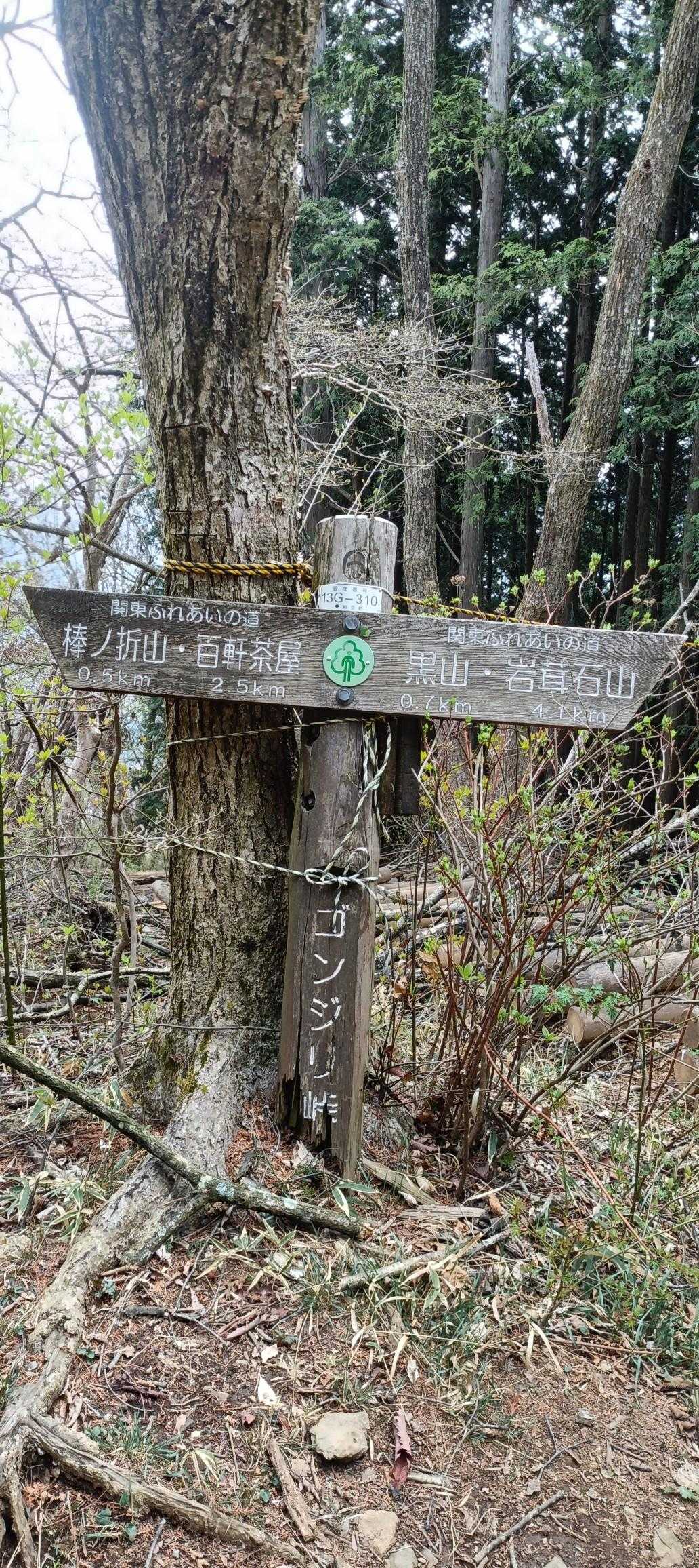 権次入峠-棒ノ嶺 往復コースの写真