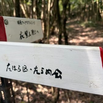 たらめ会の方、ありがとうございます