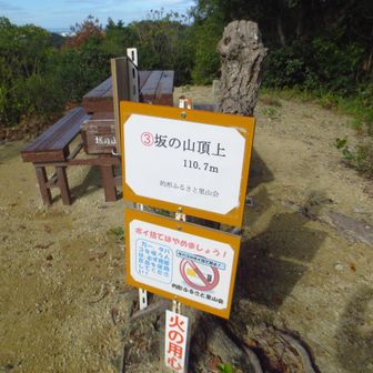 坂の山山頂
