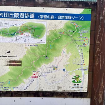 矢田丘陵へ行きます。