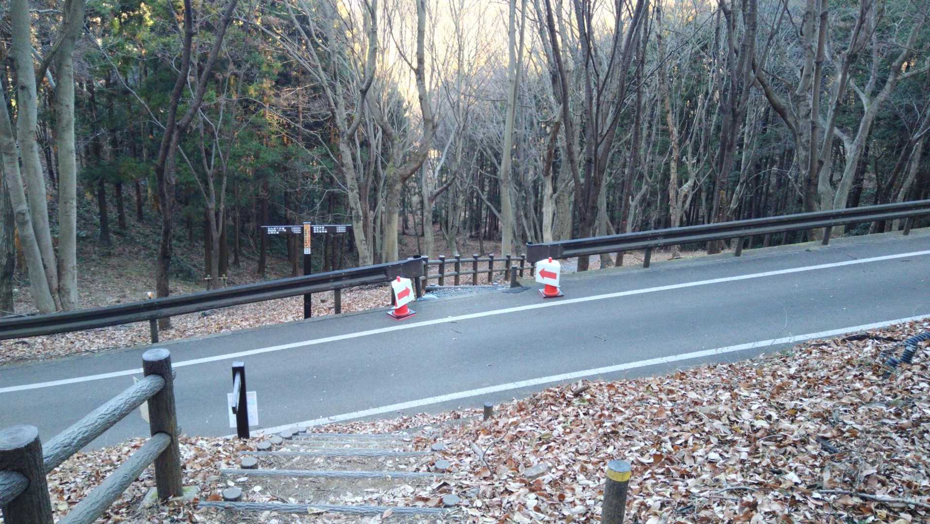 トレラン大会コースをフライングして最初に走ります🏃💨