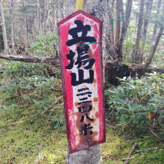 立場山
山ですか？