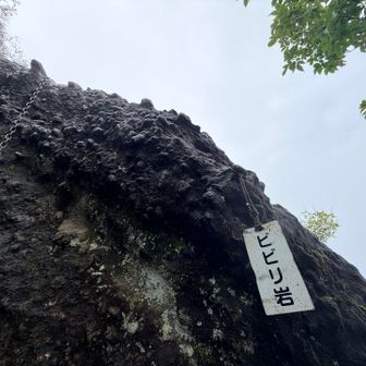 ビビリ岩🪨
その手前でちょっと滑って、リアルにビビってしまった😣