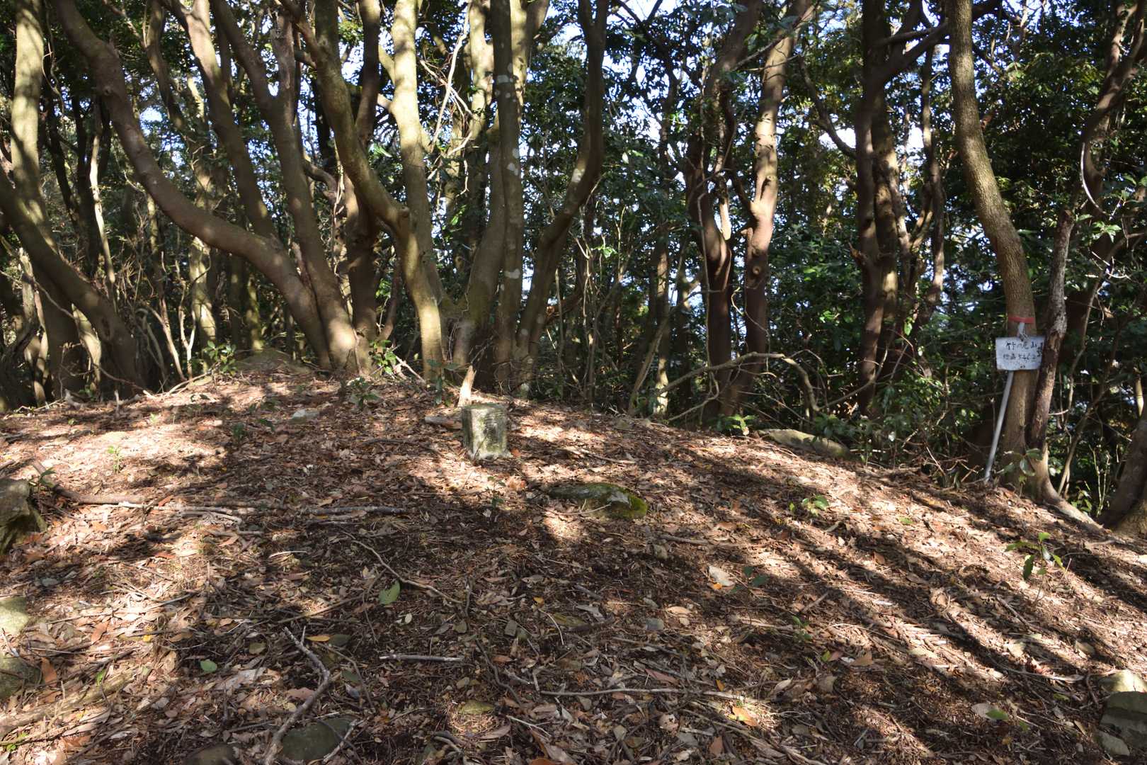 竹の尾山山頂