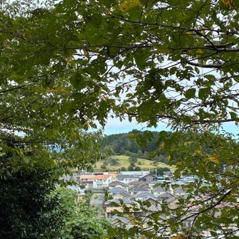 ゆうひ山から美杉台の向こうにあさひ山が見えます。