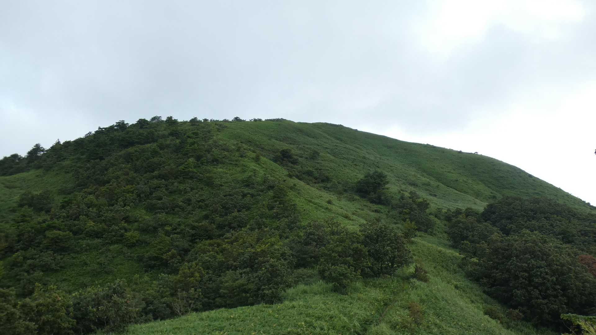 牧草地だったから木が少ないのだろうか。