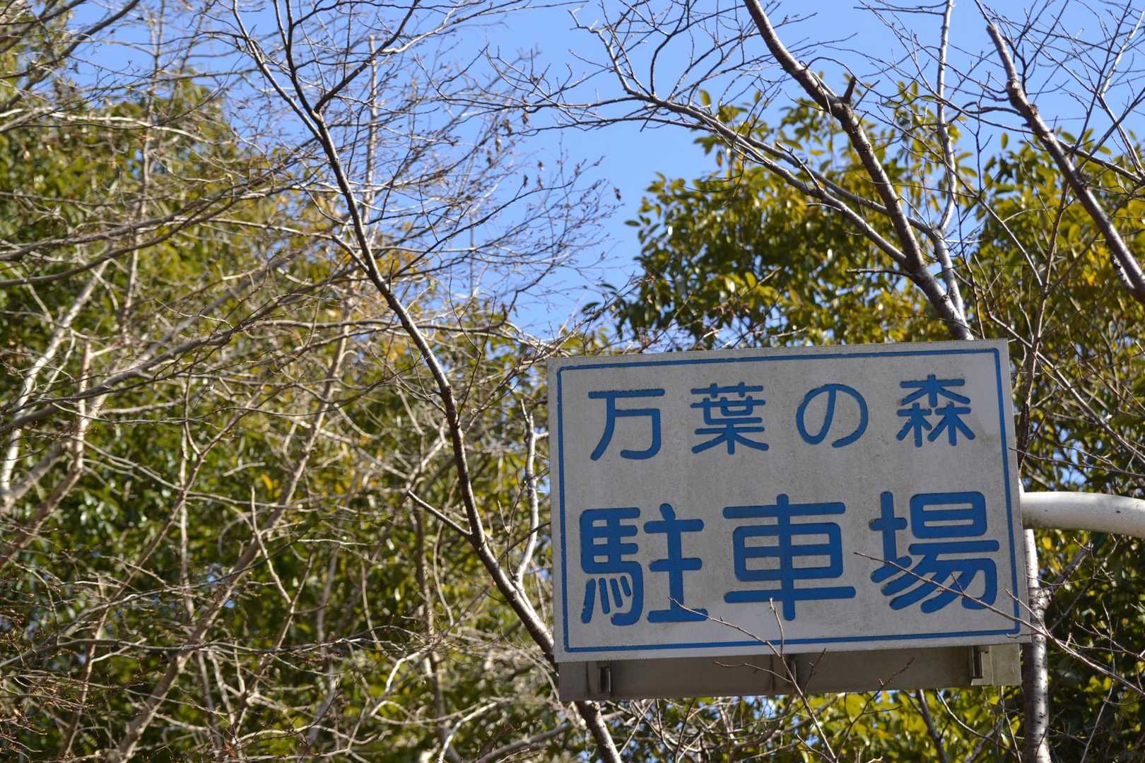 駐車場着きました。
相変わらず、車はたくさん停まってます。

