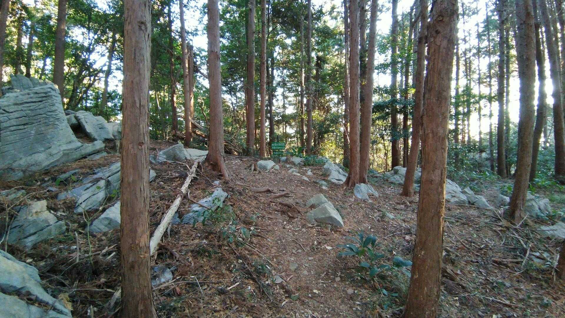 分岐点