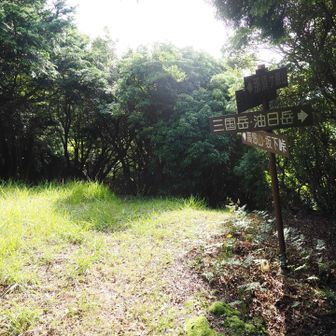 分岐から油日岳方面の三国山までピストン
