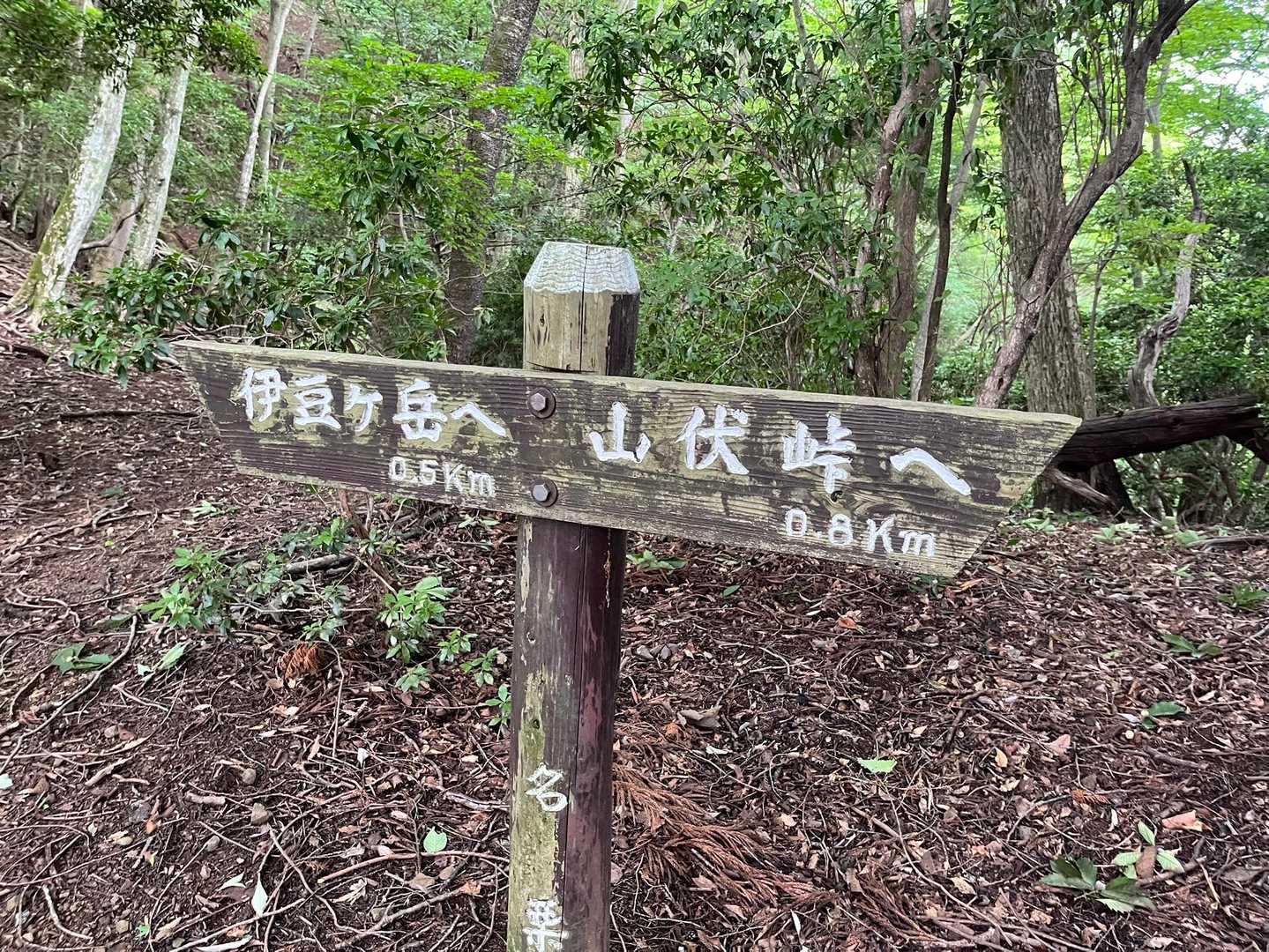 この先少し進んで、山頂まで残り10分位の所でゴロゴロ音が、、、
手前で、暫く帰るか進むか考えました