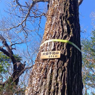 グレーピークその2✨