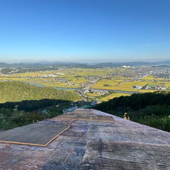 いー天気ですわ😊