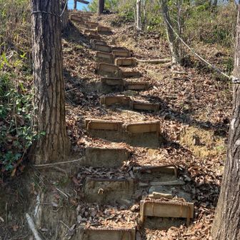 峠から１分での階段。
ここを登り切ると尾根道になりますよー。