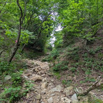 もう少しで金糞峠