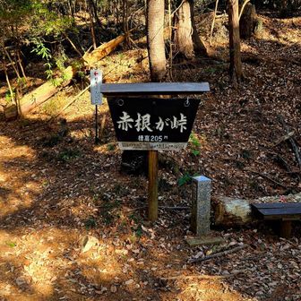 峠へ来て、何故か秋葉山へ向かってみました。