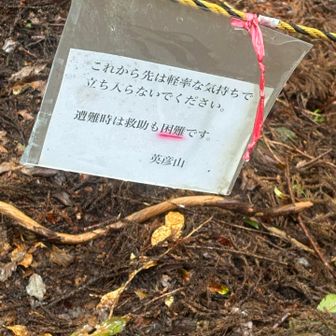 今日はそっち行きません。
ここら辺りから少し道が落ち着いてくる☺️