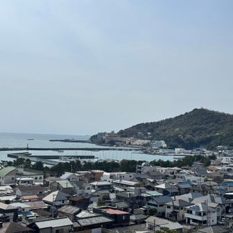 あっちのお山から来たのです