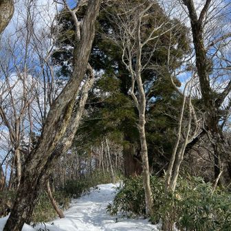 ❄️少なめ…
でも気持ちの良い尾根歩き🎶