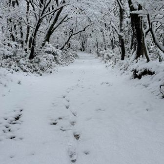 よく考うたら土曜日でシャバは連休か
ワタシ❓漁の後ですよ