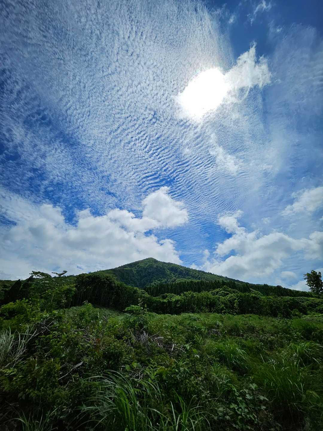 生駒登山口-夷守岳 往復コースの写真
