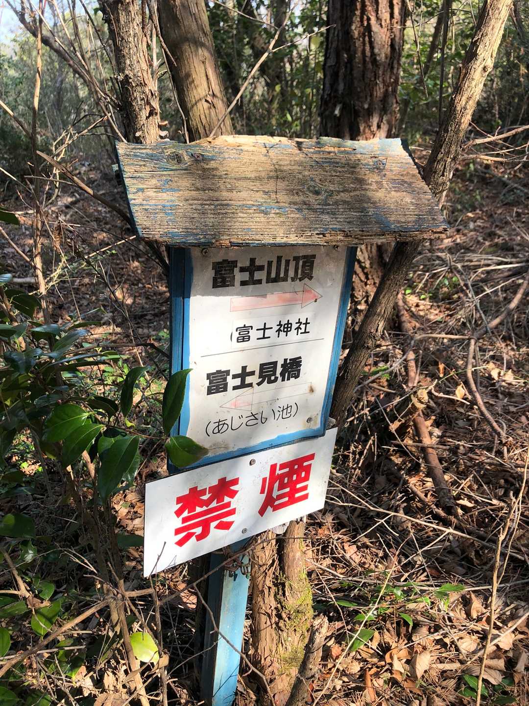 ちょっと迎えの時間が、急げ、早足に。