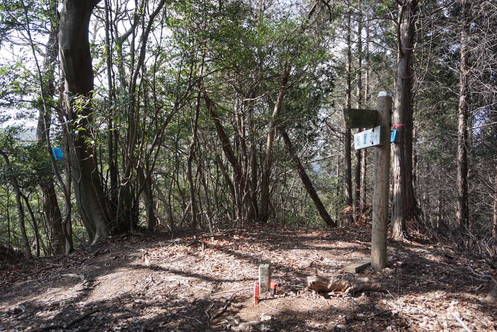 八徳山山頂に到着。
ここも眺望はありません。