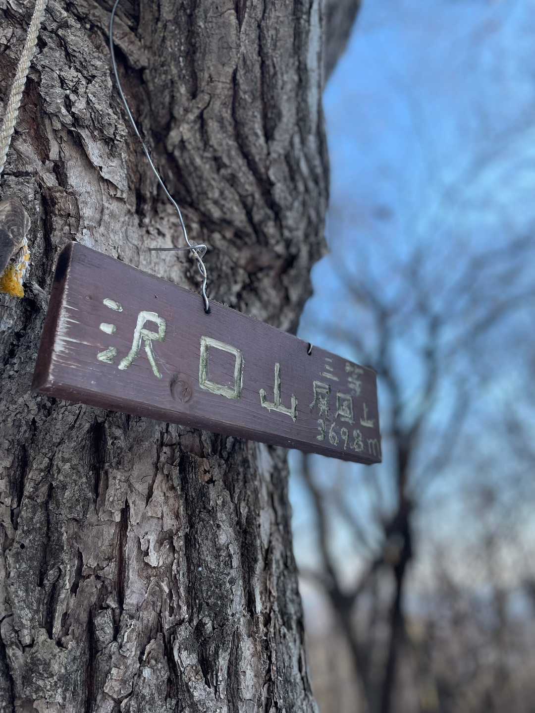 沢口山（岩手県）の写真