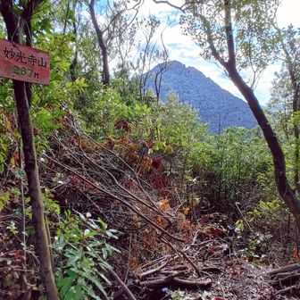 妙光寺山からの三上山