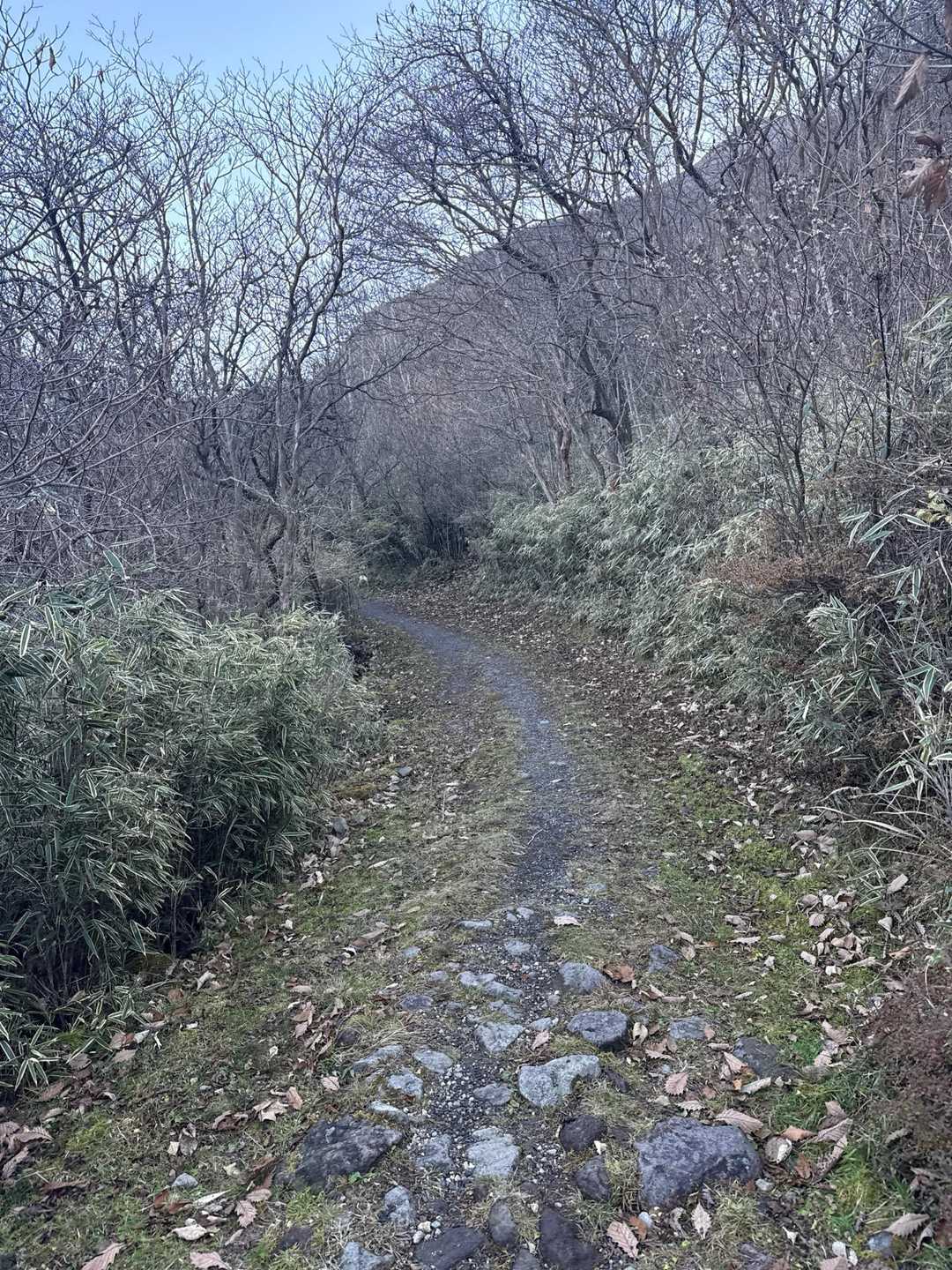 鉾立峠-立中山 往復コースの写真