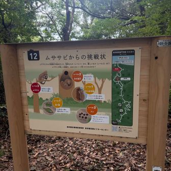 ムササビからの挑戦状だとぉぉぉ！
今度時間ある時に勝負だ🔥