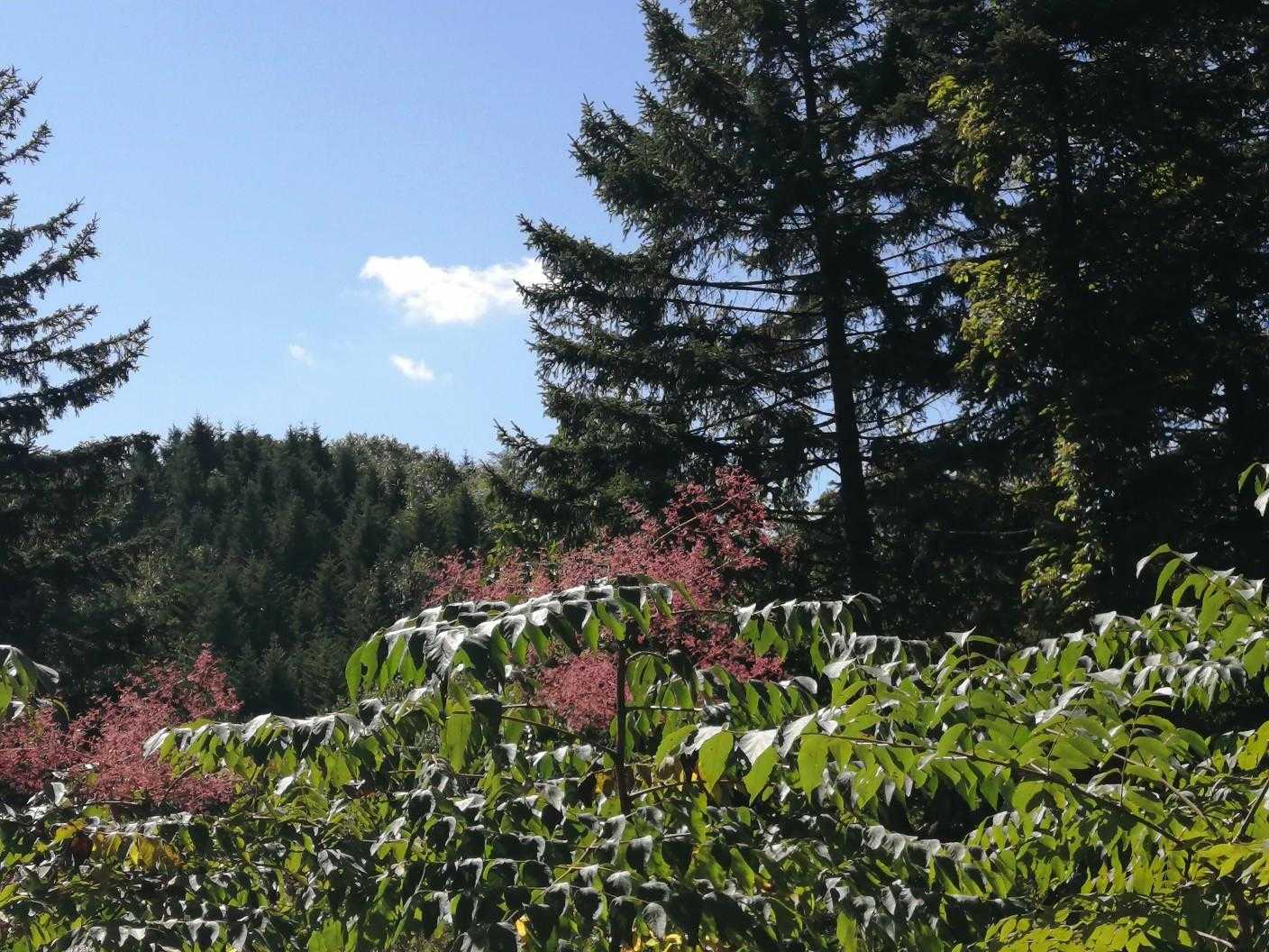 いい天気☀️