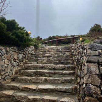 夕方になり💧雨が落ちてきた