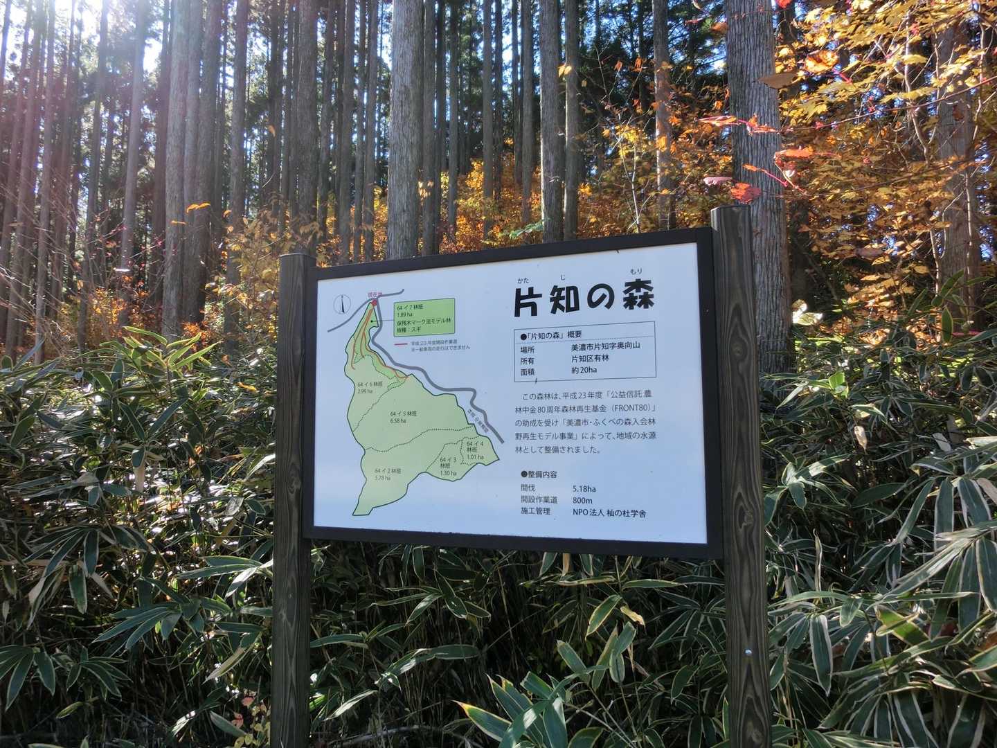 瓢ヶ岳 周回コースの写真