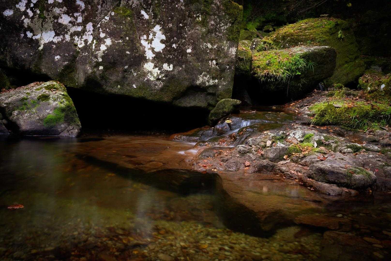 長坂山入山口-長坂山-赤目滝バス停 縦走コースの写真