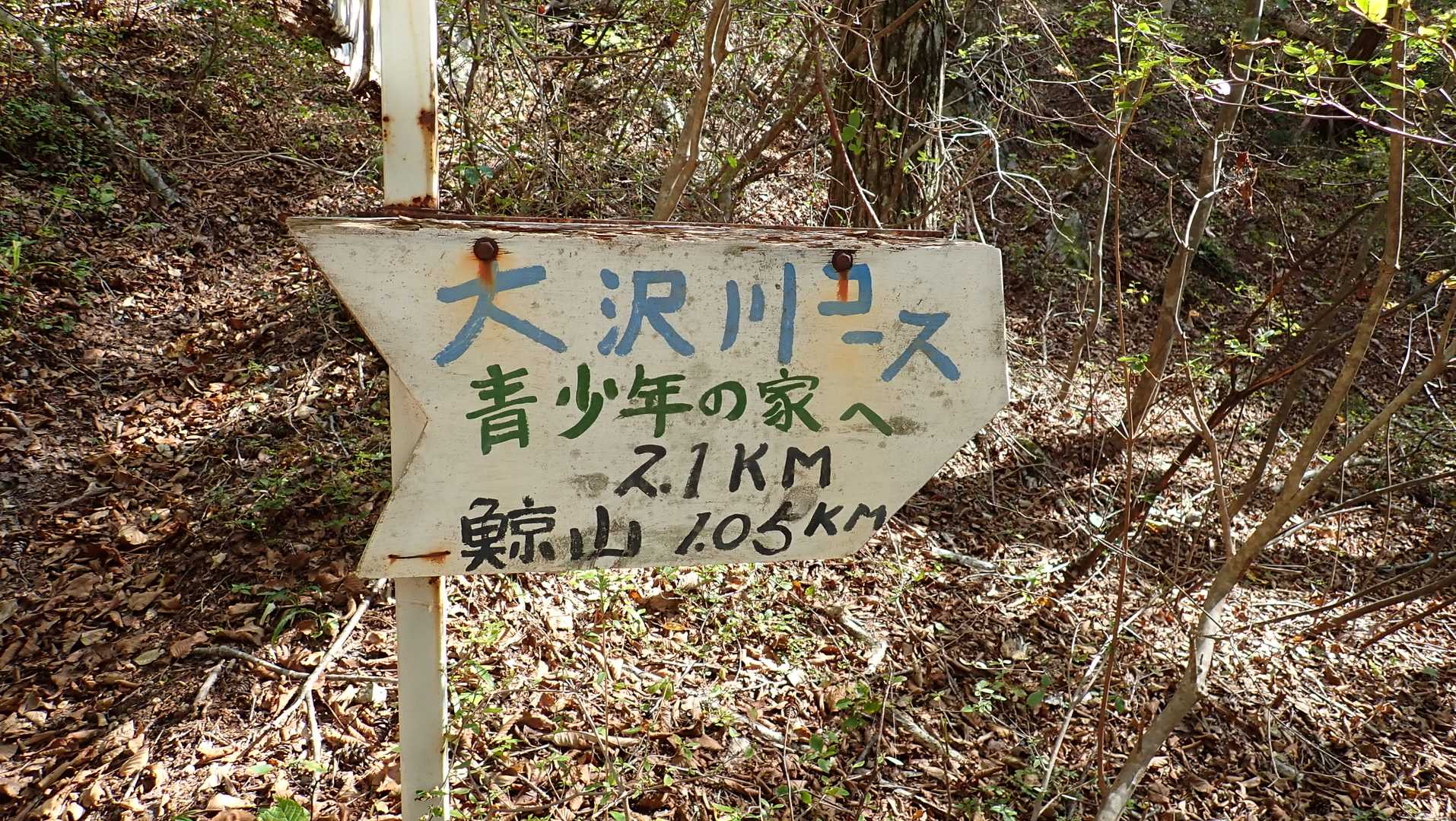 十文字分岐から大沢川コースへ・・・