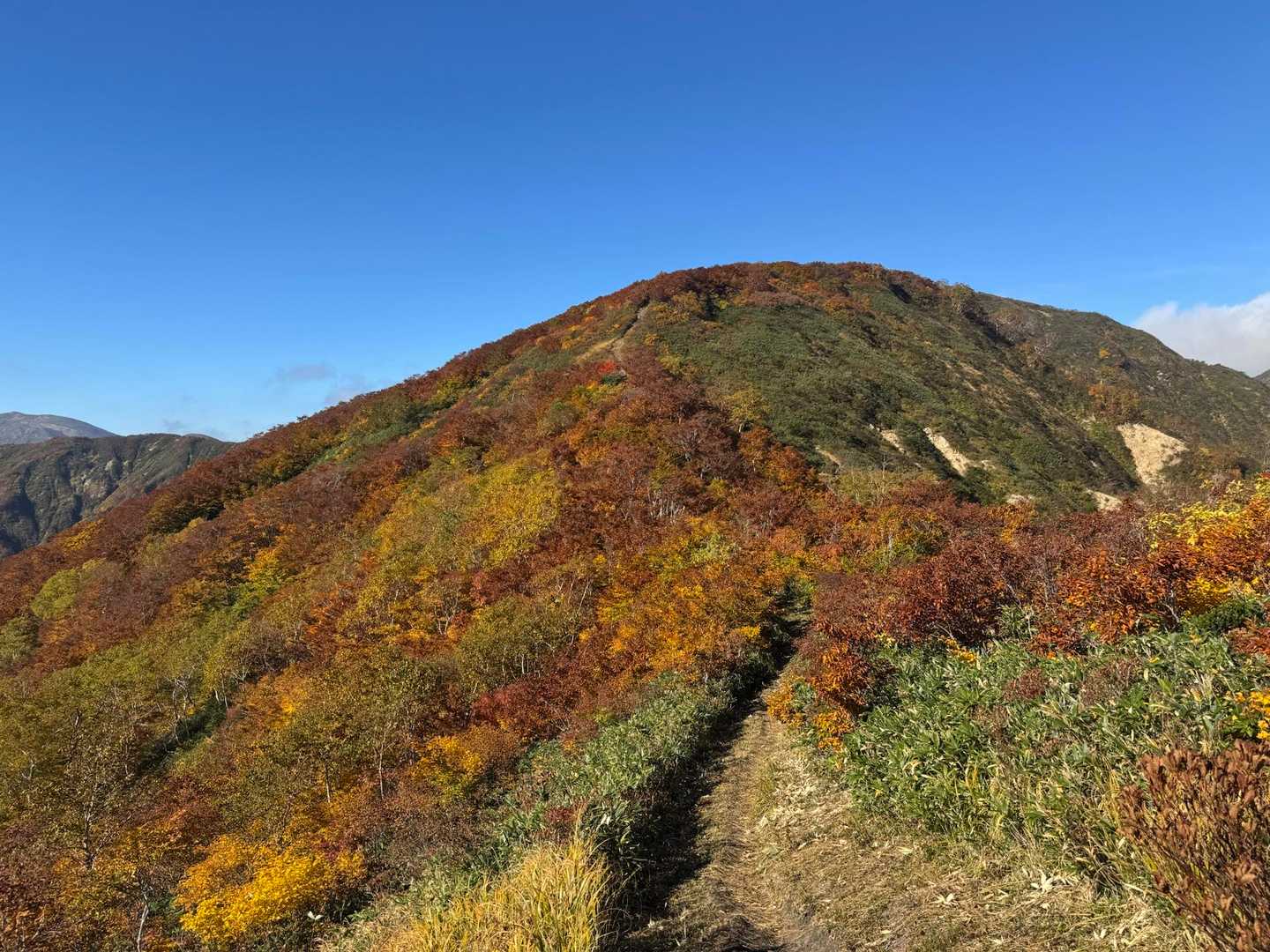 旧貝沢登山口-沢尻岳-大荒沢岳 往復コースの写真