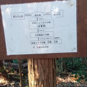 付近案内板