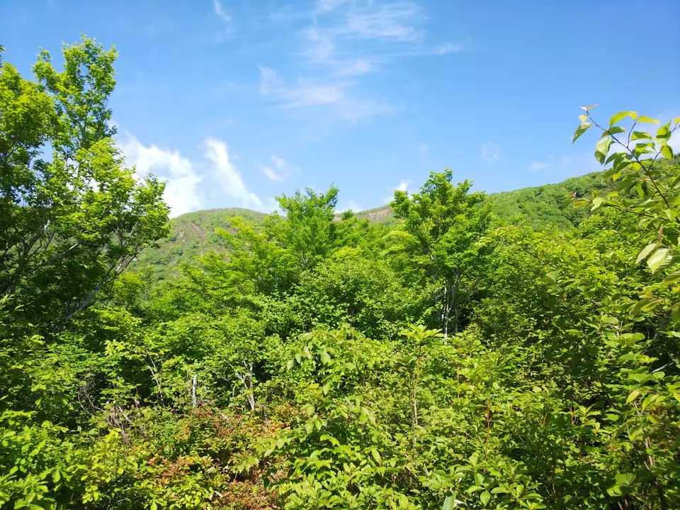 葉山（山形県長井市）の写真