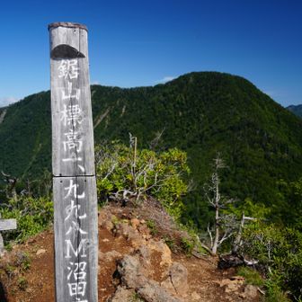 いくつものアスレチックを乗り越えて
鋸山▲1998mに到着
ビビるも楽しい道のりでしたが、体力がかなり削られてしまった🪚
だから鋸山❓なんですかね