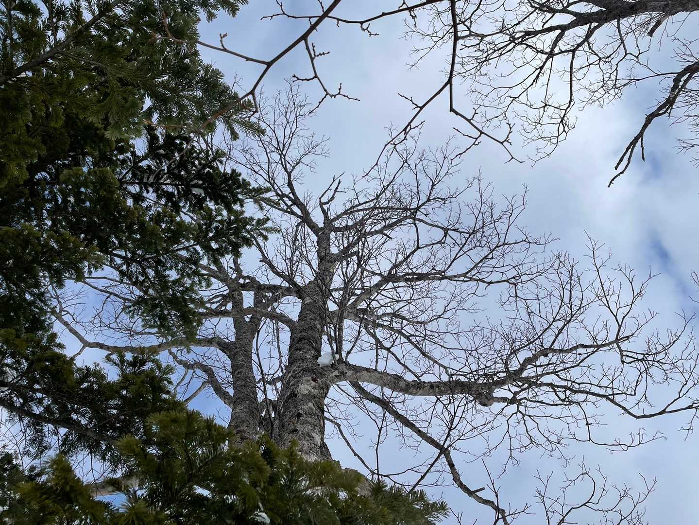 鳥いっぱいいました✨
カメラ持ってくればよかった…