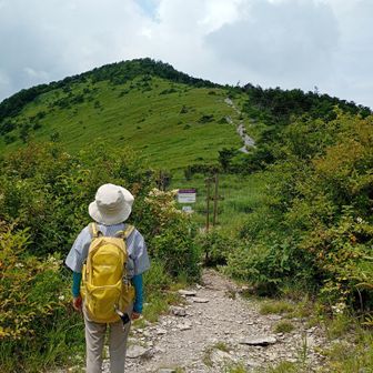 あそこが山頂かな？
いやいや、もっと奥でした